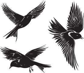 silhouette of flying birds