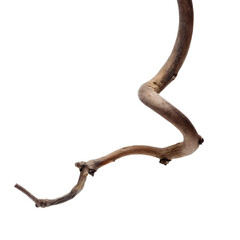 Dry vine with a twisted shape isolated on a transparent background