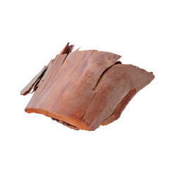 Eucalyptus bark piece with cut out path and transparent background, perfect for graphic design projects