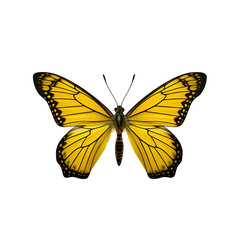 Naklejka premium Realistic butterfly with open wings, symmetrical view, vibrant colors, isolated on white