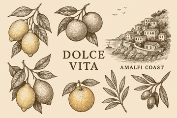 Dolce vita: italian citrus harvest and amalfi coast vintage illustration for design
