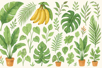 Tropical jungle watercolor illustration with banana leaves and potted plants for botanical design