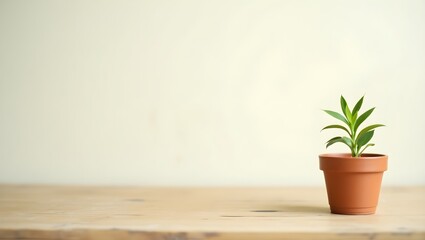 plant on the wall