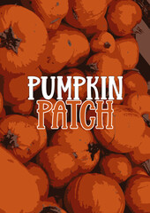 pumpkin patch dynia wektory grafika wektorowa ilustracja dyni ścieżka strachu halloween © Julia