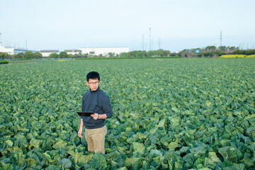 Asian male farmer is using a digital tablet in the field
