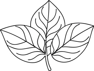 Three Leaves Cluster in Bold Continuous Line Style for Nature-Themed Art, Eco Crafts, Cricut Projects, Organic Logos, Herbal Illustrations, Botanical Wall Art, and Greenery-Inspired Designs