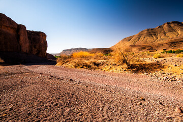 2024 03 16 Jebel Saghro Atlas dirty road 11