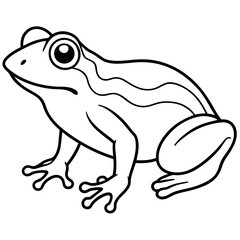 Stylized Frog Outline Vector