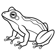 Stylized Frog Outline Vector