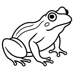 Stylized Frog Outline Vector