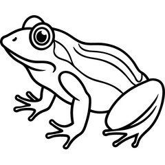 Stylized Frog Outline Vector
