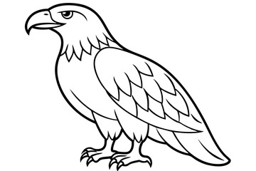 Flying Eagle Wireframe