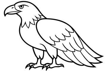 Flying Eagle Wireframe