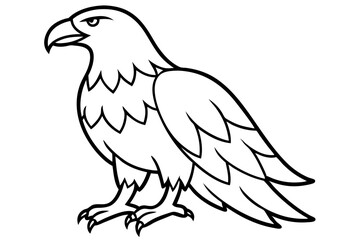 Flying Eagle Wireframe