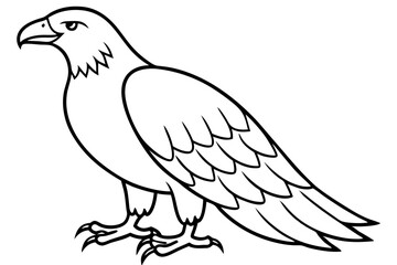 Flying Eagle Wireframe