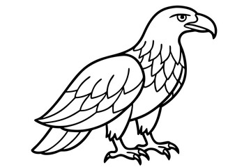 Flying Eagle Wireframe
