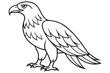 Flying Eagle Wireframe
