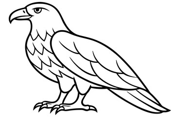Flying Eagle Wireframe