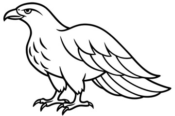 Obraz premium Flying Eagle Wireframe