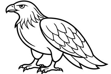 Flying Eagle Wireframe