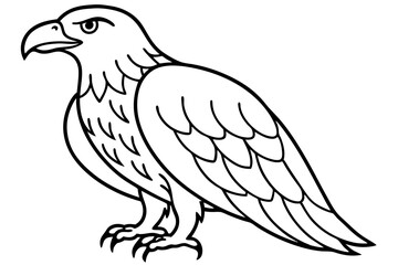 Flying Eagle Wireframe
