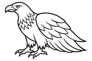Flying Eagle Wireframe