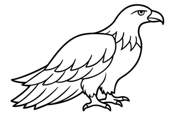Flying Eagle Wireframe
