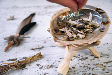 Burning sweetgrass (Hierochloe odorata) and white sage (Salvia apiana) in an iridescent abalone...