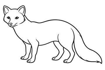 Geometric Arctic Fox Sketch