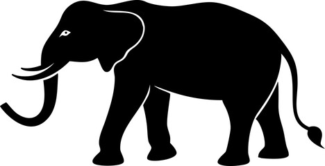 elephant isolated on white