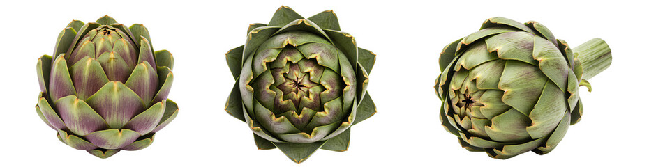 Obraz premium artichoke set png. set of artichokes isolated. artichoke PNG. Artichoke top view flat lay vegetable isolated. Organic and healthy green artichoke vegetable for vegan and vegetarian healthy eating PNG.