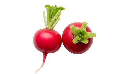 radish PNG. radish vegetable top view flat lay isolated. Organic and healthy red radish vegetable for vegan and vegetarian healthy eating PNG