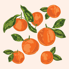 Hand-Drawn Tangerine Fruit Set with Leaves – Colorful Citrus Illustration
