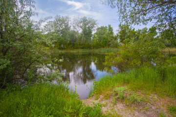 calm river with green forest on coast at the sunny  day © Yuriy Kulik