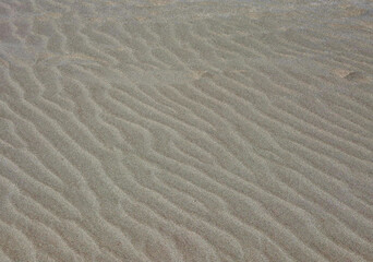 full-field view of the pattern that the sand makes on the beach