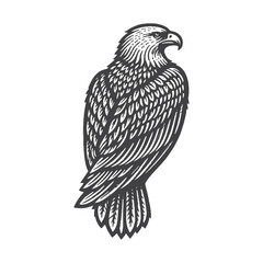 Fototapeta premium Simple Golden Eagle Vector Design – Vintage Logo & Retro Illustration
