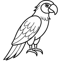 Stylized Macaw Outline Art