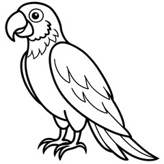 Stylized Macaw Outline Art