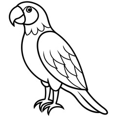 Stylized Macaw Outline Art