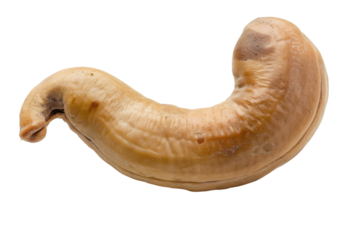 Curiously shaped cashew nut with a unique form displayed on a clean, bright background isolated on transparent background