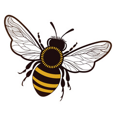 Honey Bee On White Background Design