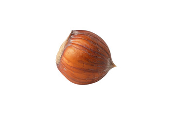 A single hazelnut resting on a clean white surface, highlighting its natural beauty and texture isolated on transparent background