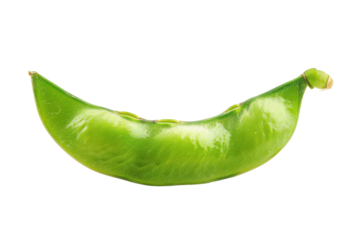 A plump snap pea sits on a pristine surface, highlighting its glossy green skin and inviting curve isolated on transparent background