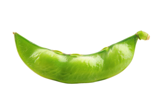 A plump snap pea sits on a pristine surface, highlighting its glossy green skin and inviting curve isolated on transparent background