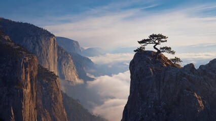 A serene view of a mountain landscape with fog rolling in, featuring a lone pine tree on the edge of a cliff.