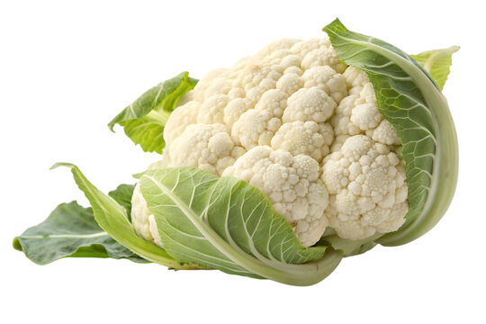 A pristine cauliflower, nestled in its vibrant green leaves, a symbol of fresh, healthy harvest bounty, against a bright white background.