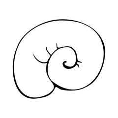 Simple spiral seashells in a simple style. Graphic line art hand drawn on the theme of sea and fishing in black and white ink. Separate element isolated from the background EPS vector