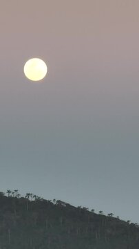 Moonrise in Campeche, Florianopolis, Brazil. Aerial view, vertical video.