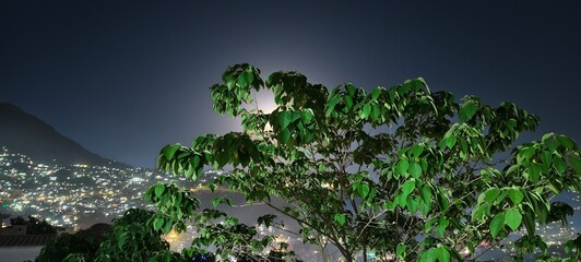 night landscape with trees and clouds