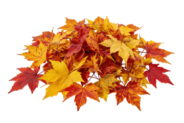 A Vibrant Pile of Autumn Leaves Displaying the Rich Tones of Fall in a Stunning Array of Reds, Oranges, and Yellows Against a Dark Background